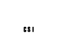 CONSULTORÍA Y SERVICIOS INFORMÁTICOS S.A.S.