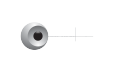 VIRTUALRIS SAS